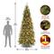 10 ft. Pre-lit Tiffany Fir Slim Artificial Christmas Tree, Clear Lights